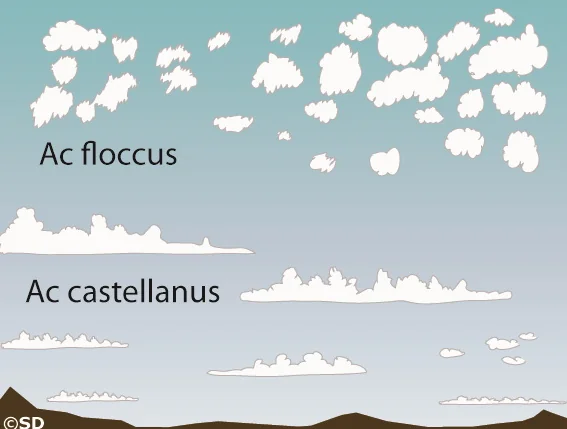 altocumulus floccus