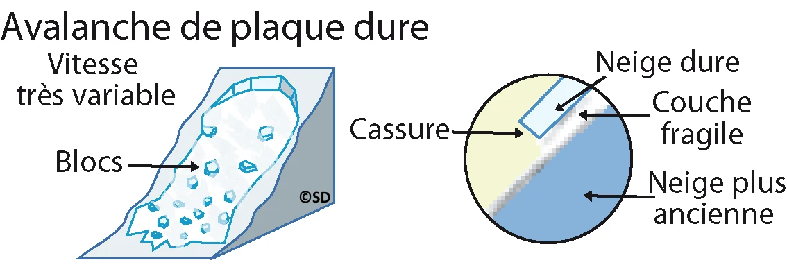 avalanche_plaque