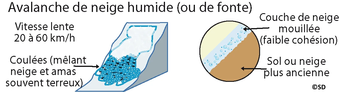 avalanche_fonte