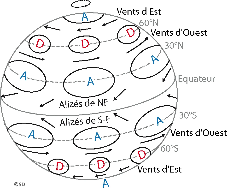 circul_gene