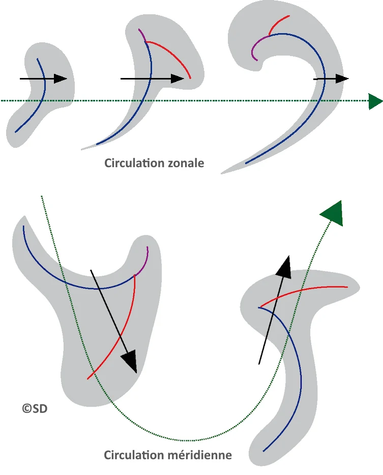 circulation