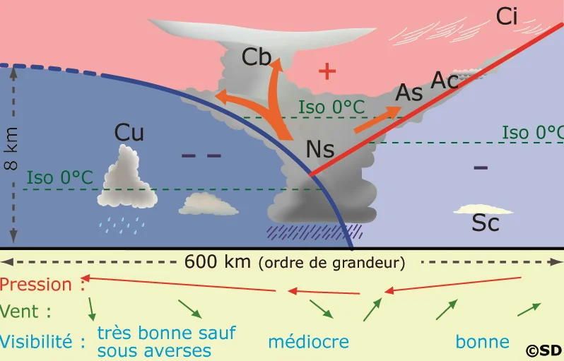coupe_occlusion