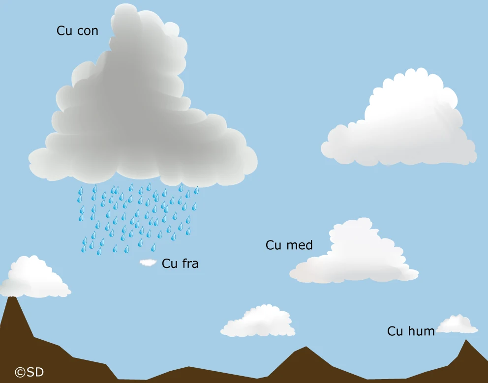 cumulus