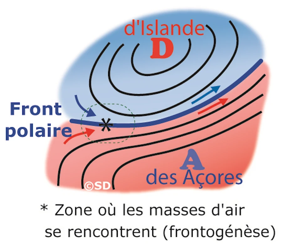 front_polaire