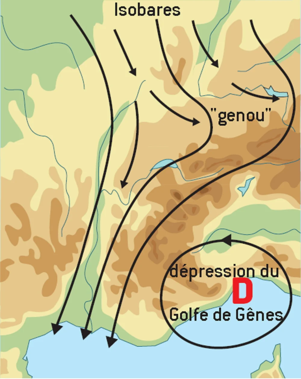 genou alpes