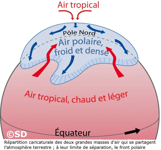 front polaire