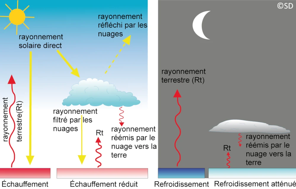 rayt