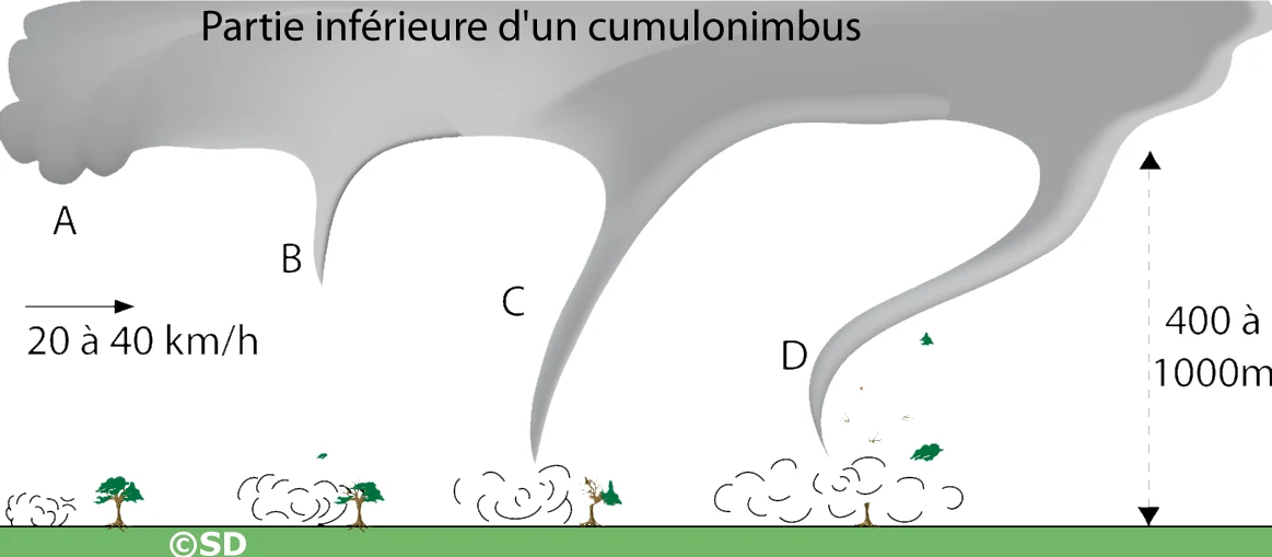 trombe