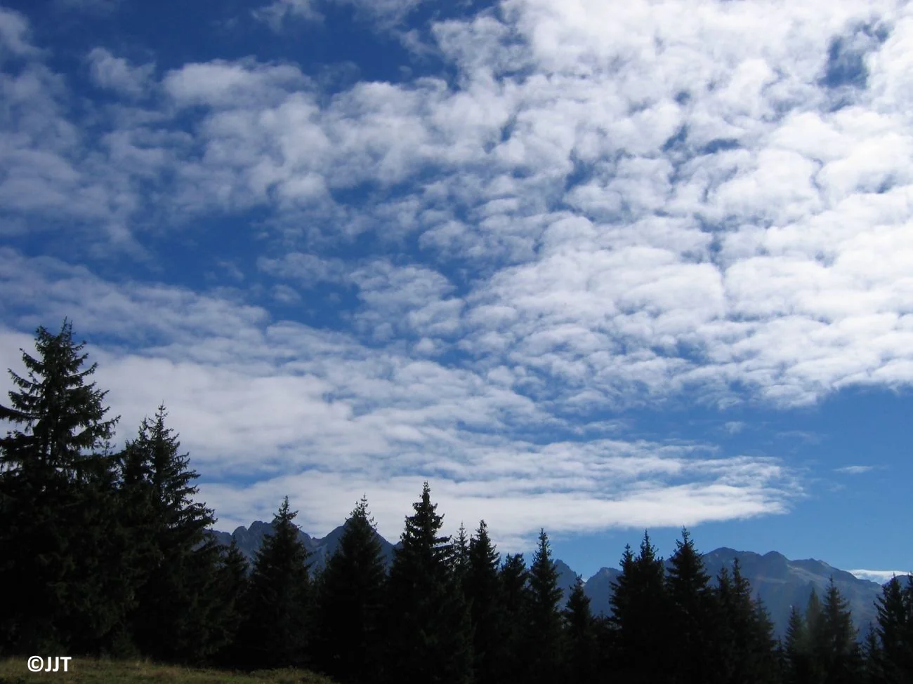 altocumulus