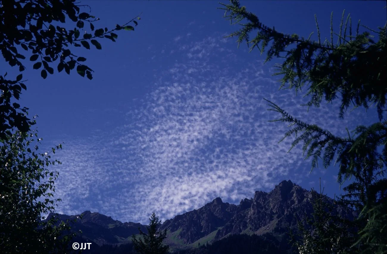 cirrocumulus