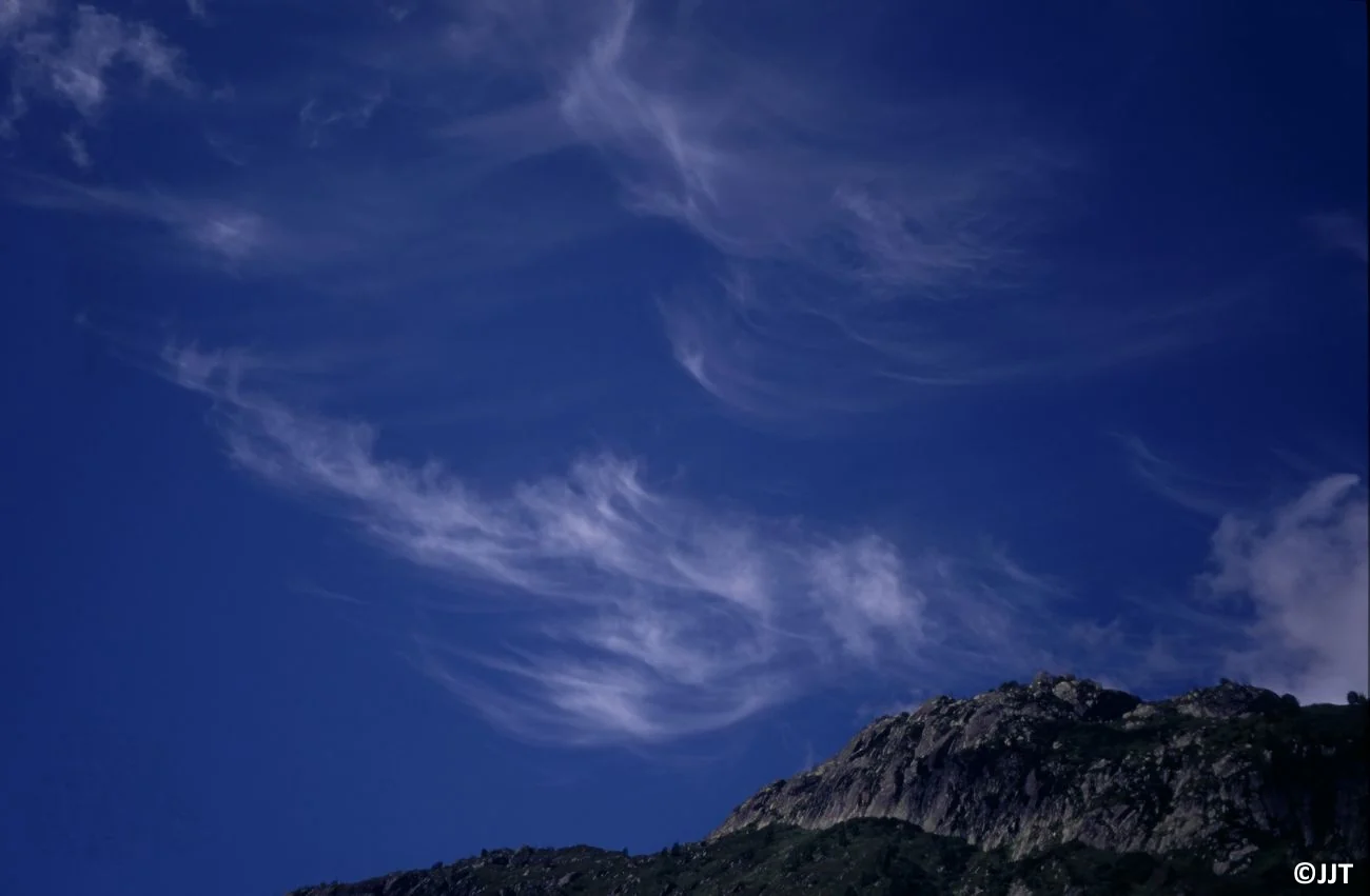 cirrus