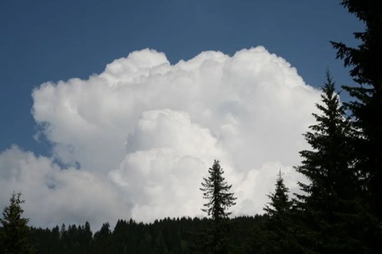 Cu_com