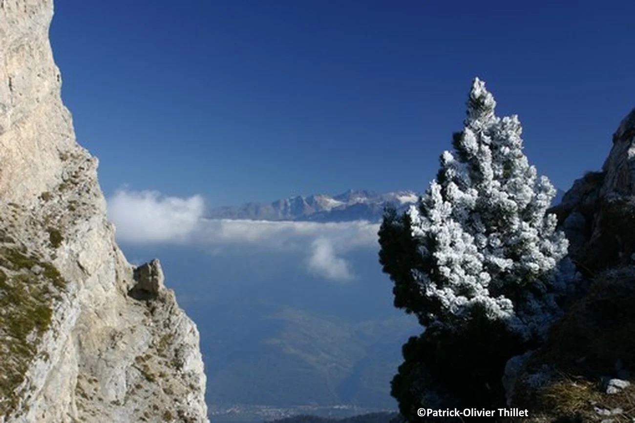 givre