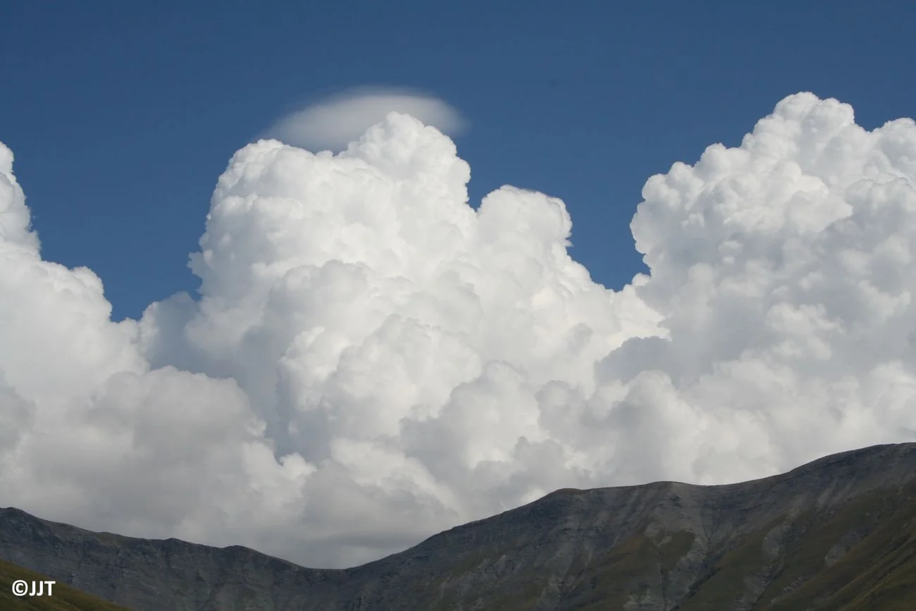 pileus